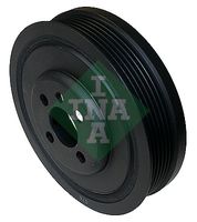 SCHAEFFLER INA FULIE CUREA, ARBORE COTIT 544008310