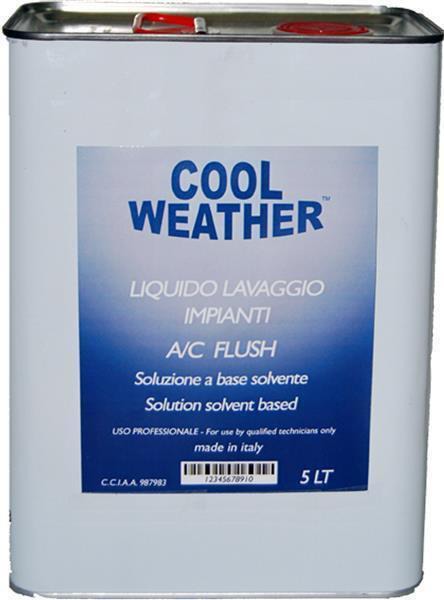 LICHID PENTRU SPALARE SISTEM AC 5 L 007950024540